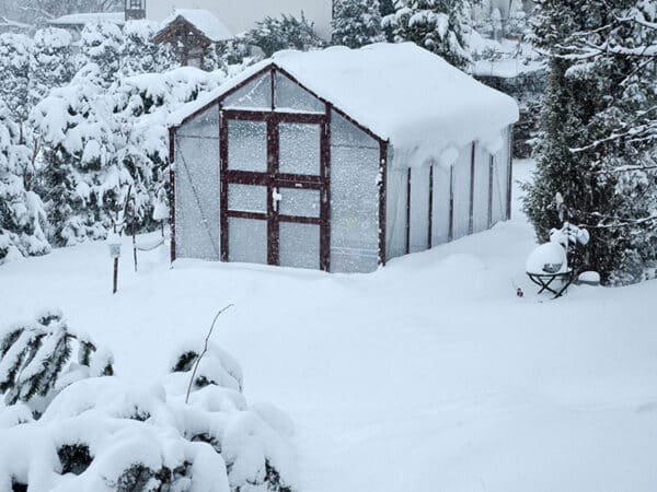 Winterkulturen Gewächshaus