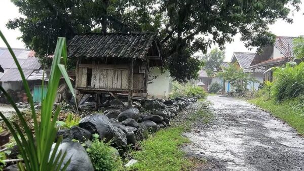 Home 6 5 1
